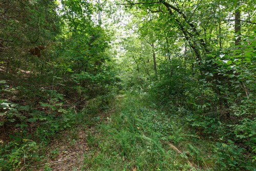 Springlake Tract 325