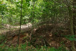 Springlake Tract 325