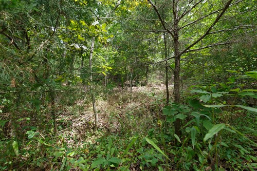 Springlake Tract 325