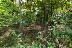 Springlake Tract 325