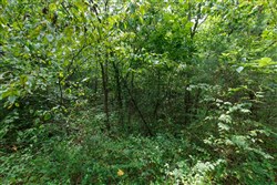 Springlake Tract 325