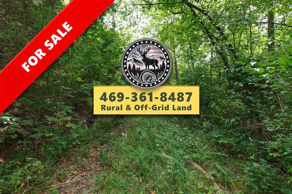 Springlake Tract 325 - Primary