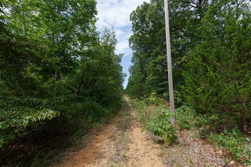 Springlake Tract 341