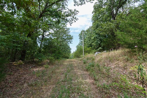 Springlake Tract 344
