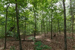 Springlake Tract 344