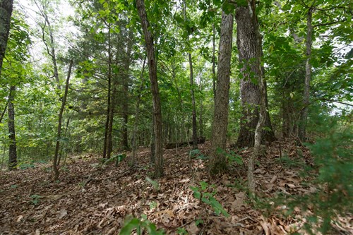 Springlake Tract 344