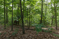 Springlake Tract 344
