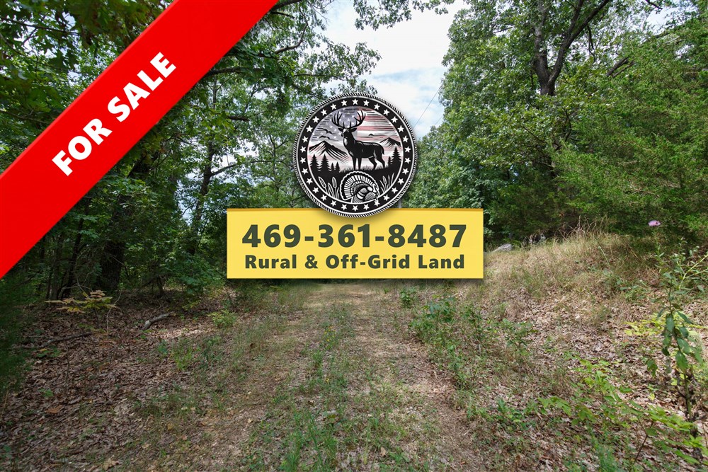 Springlake Tract 344 - Primary