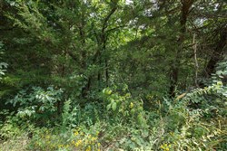 Springlake Tract 108