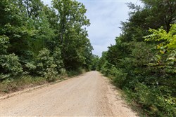 Springlake Tract 109