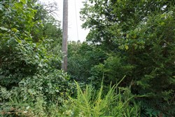 Springlake Tract 109
