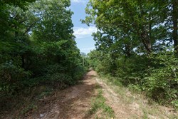 Springlake Tract 11