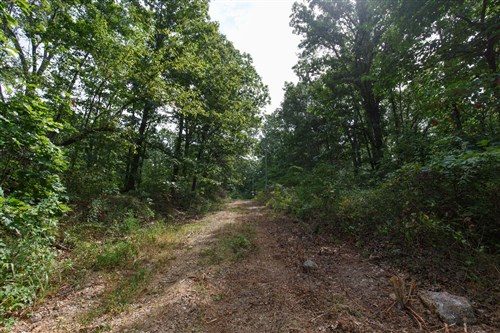 Springlake Tract 11