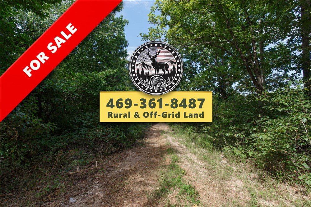 Springlake Tract 11 - Primary