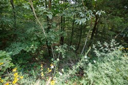 Springlake Tract 110