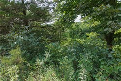 property photo for Springlake Plat 6 Tract 12, 0.38 acres for sale in Miller County, Missouri