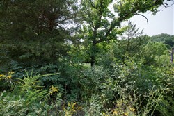 property photo for Springlake Plat 6 Tract 12, 0.38 acres for sale in Miller County, Missouri