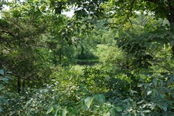 property photo for Springlake Plat 6 Tract 12, 0.38 acres for sale in Miller County, Missouri