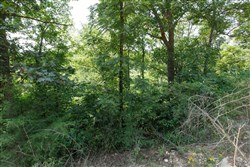 Springlake Tract 121