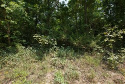 Springlake Tract 129