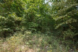 Springlake Tract 129