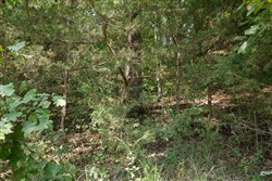 property photo for Springlake Plat 6 Tract 13, 0.38 acres for sale in Miller County, Missouri