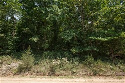 property photo for Springlake Plat 6 Tract 13, 0.38 acres for sale in Miller County, Missouri