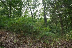 property photo for Springlake Plat 6 Tract 13, 0.38 acres for sale in Miller County, Missouri