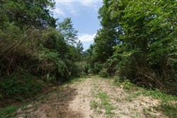 Springlake Tract 28