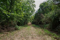 Springlake Tract 28
