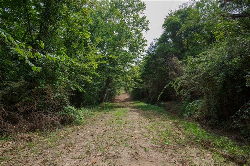 Springlake Tract 28