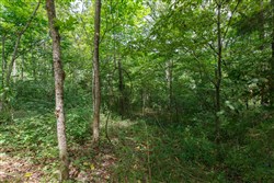 Springlake Tract 57