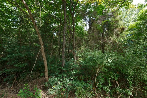 Springlake Tract 57
