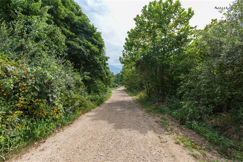 Springlake Tract 63