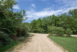 Springlake Tract 63