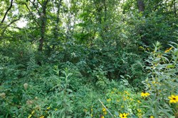 Springlake Tract 72