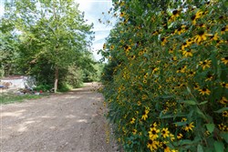 Springlake Tract 72