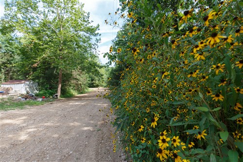 Springlake Tract 72