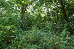 Springlake Tract 73