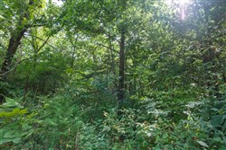 Springlake Tract 73