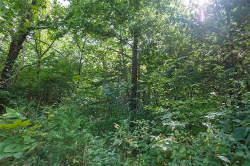 Springlake Tract 73