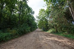 Springlake Tract 74