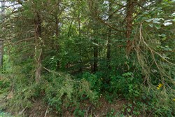Springlake Tract 74