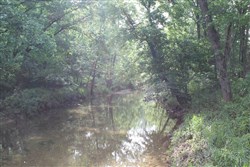 property photo for Cedar Ridge Ranch Tract 11, 6.15 acres for sale in Phelps County, Missouri