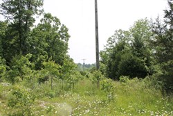 property photo for Cedar Ridge Ranch Tract 11, 6.15 acres for sale in Phelps County, Missouri