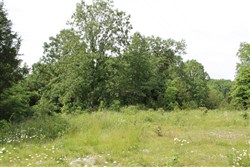 property photo for Cedar Ridge Ranch Tract 11, 6.15 acres for sale in Phelps County, Missouri