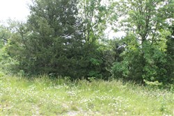 property photo for Cedar Ridge Ranch Tract 11, 6.15 acres for sale in Phelps County, Missouri