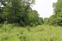 property photo for Cedar Ridge Ranch Tract 12, 5.1 acres for sale in Phelps County, Missouri