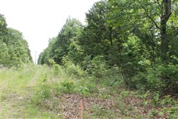 Cedar Ridge Ranch Tract 16