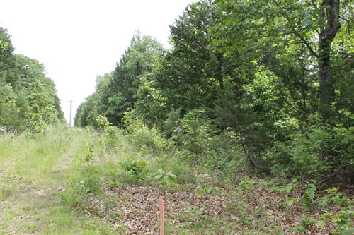 Cedar Ridge Ranch Tract 16